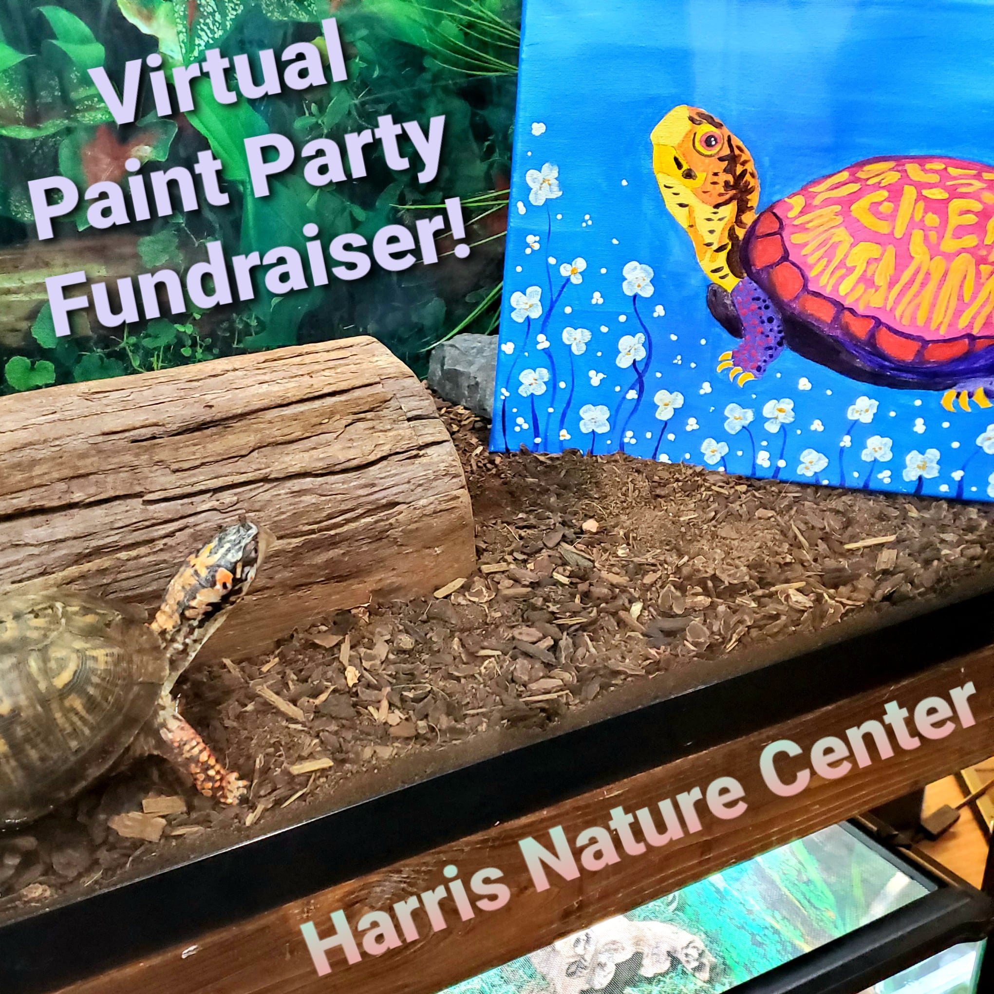 Harris Nature Center-graphic