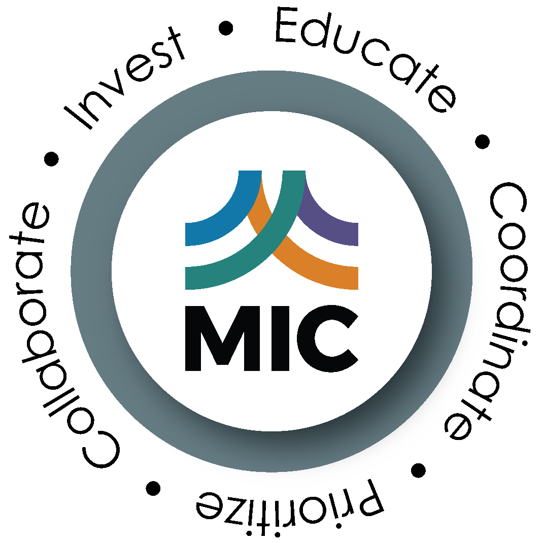 MIC_Goals_Logo